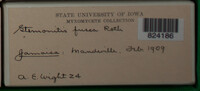 Image Associated With the Occurence